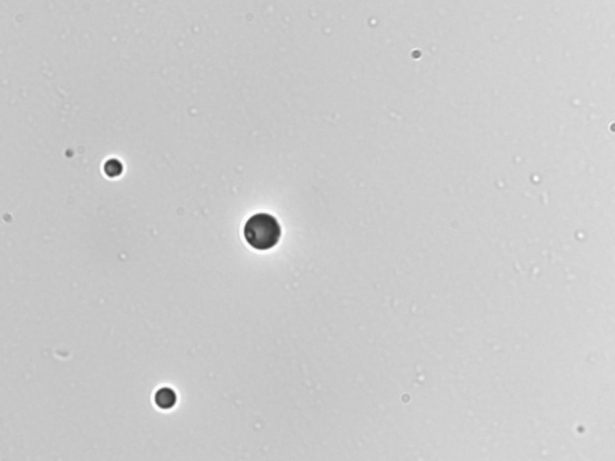 CR-39