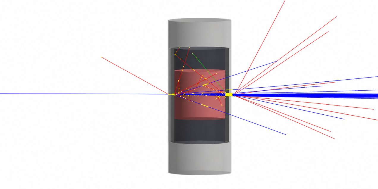 GEANT4 proton tracks